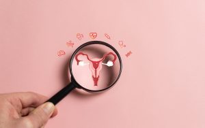 Magnifying glass over uterus and ovaries